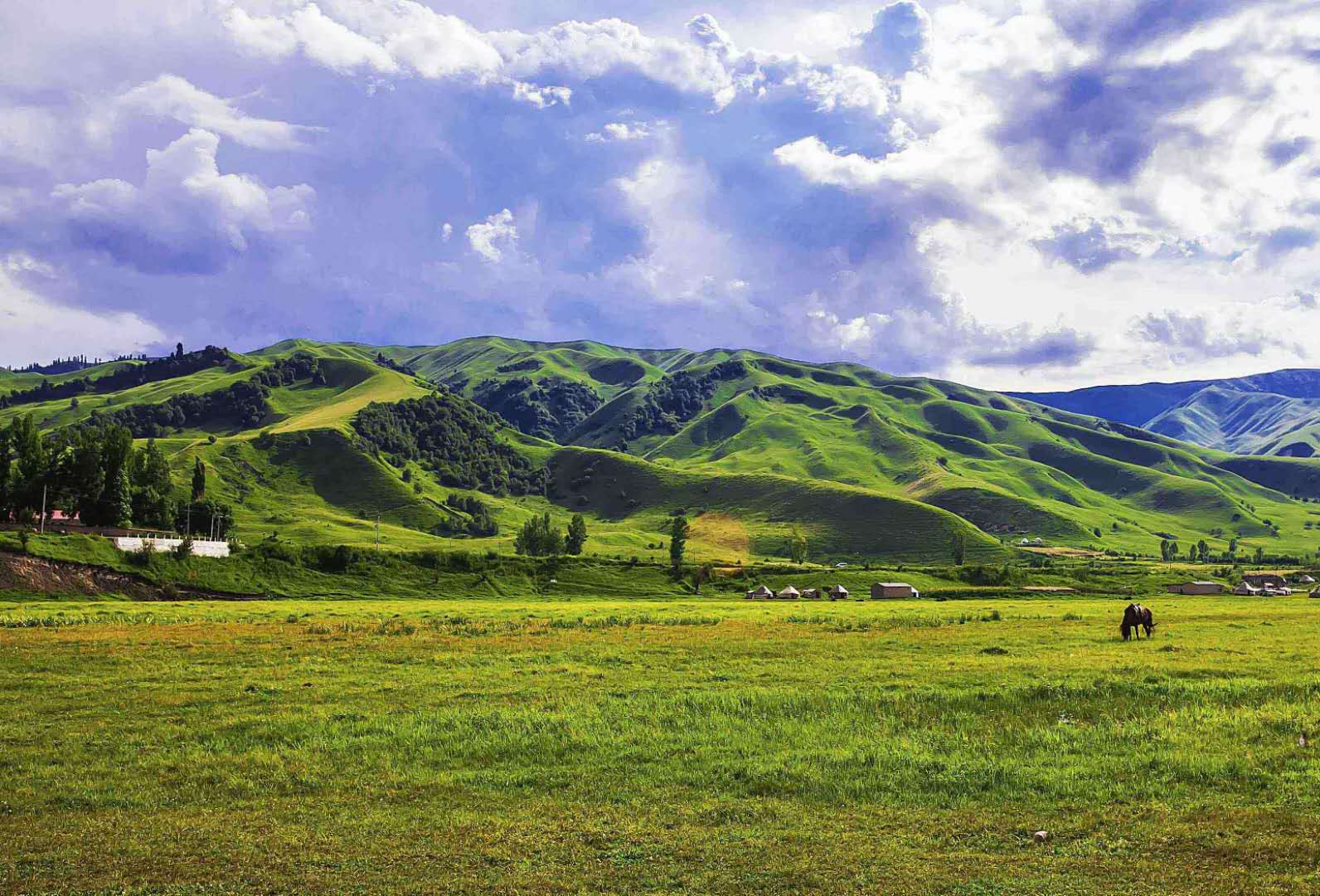 草原生態(tài)系統(tǒng)——草原生態(tài)系統(tǒng)的分布、特點(diǎn)