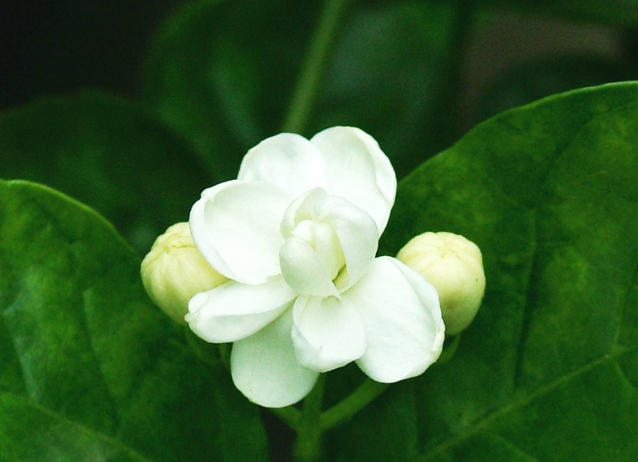 9922720e0cf3d7ca57201fe0f21fbe096a63a955.jpg 9922720e0cf3d7ca57201fe0f21fbe096a63a955.jpg