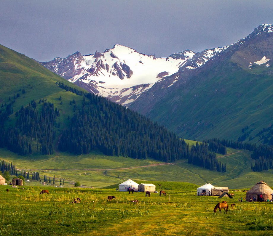 生態(tài)系統(tǒng)健康和管理——生態(tài)系統(tǒng)健康的管理原則、評(píng)估要點(diǎn)和指標(biāo)