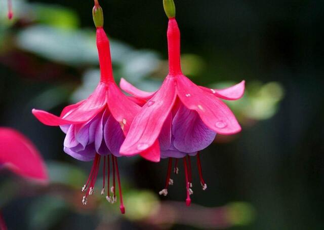 src=http___img.mp.itc.cn_upload_20160608_540e93ea5b854380b39fdeeeed54d24c_th.jpg&refer=http___img.mp.itc.jpg src=http___img.mp.itc.cn_upload_20160608_540e93ea5b854380b39fdeeeed54d24c_th.jpg&refer=http___img.mp.itc.jpg