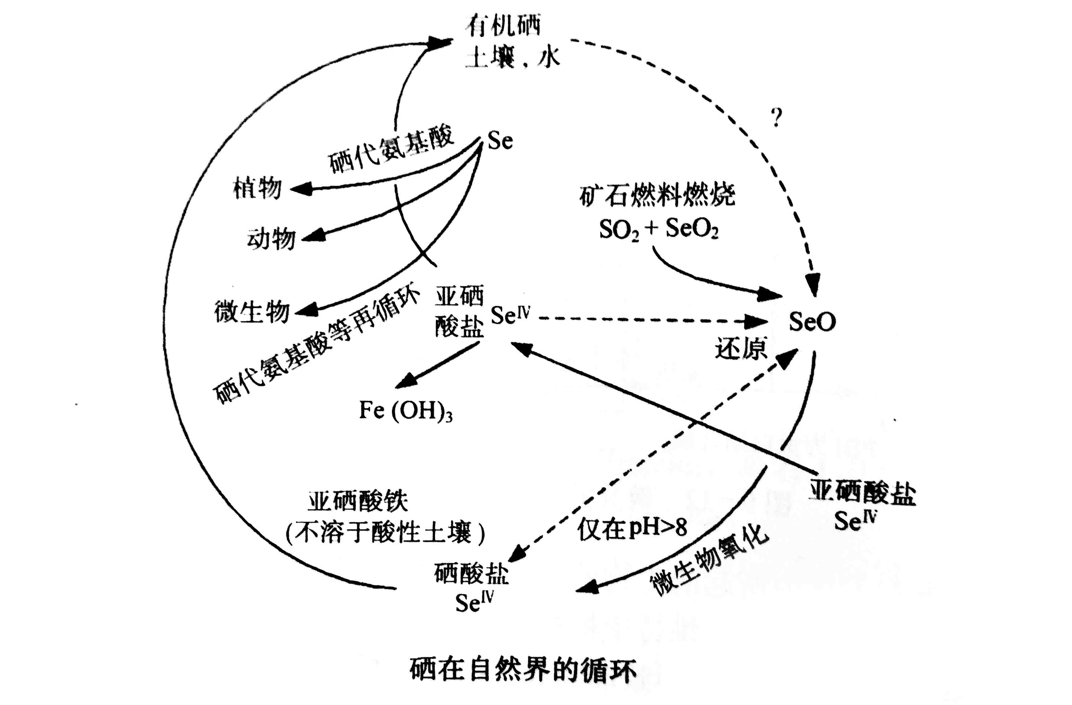 075d344bf84fdcb4db612919b85a293.jpg 075d344bf84fdcb4db612919b85a293.jpg